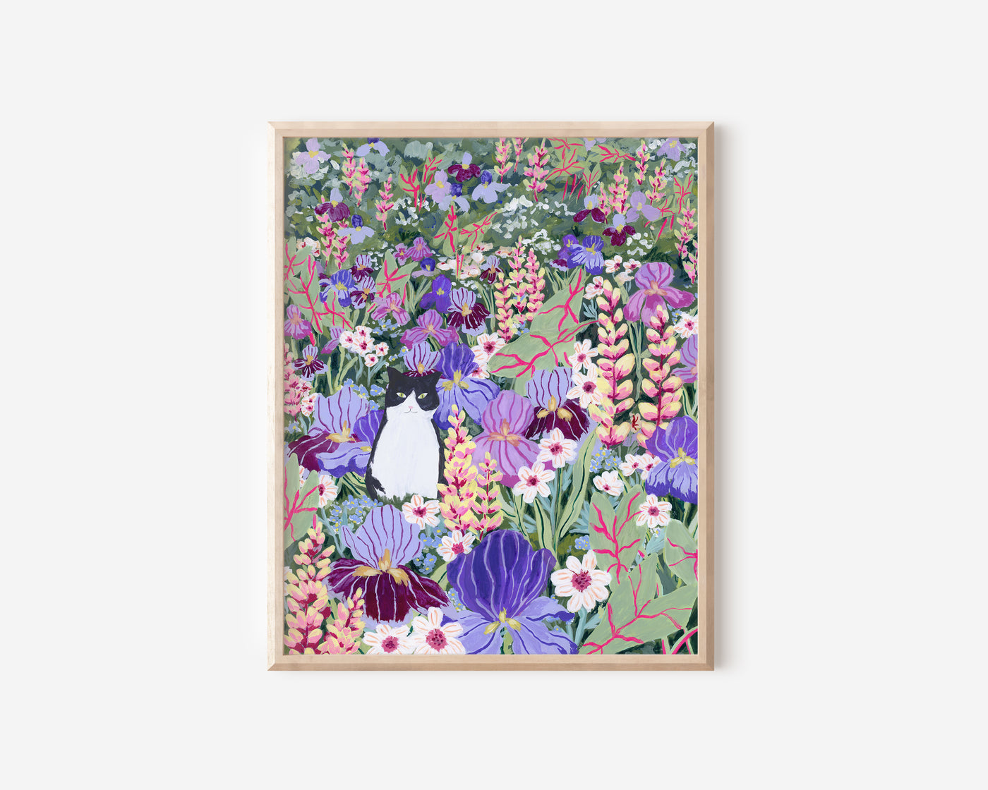 Cat in an Iris Field